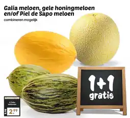 De Boerenschuur Galia meloen, gele honingmeloen en/of piel de sapo meloen aanbieding