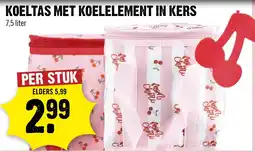 Dirck 3 koeltas met koelelement in kers aanbieding