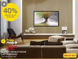 Praxis Quanti Akoestische Lattenwand aanbieding