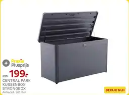 Praxis Central Park Kussenbox Strongbox aanbieding