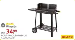 Praxis Houtskoolbarbecue Alcudia 2.0 aanbieding