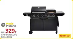 Praxis Gasbarbecue Brandon aanbieding