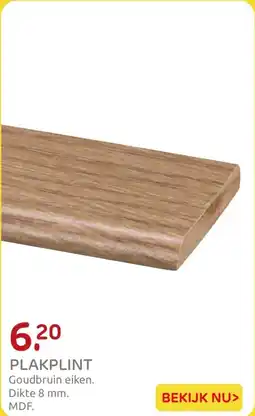 Praxis Plakplint aanbieding