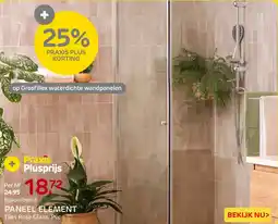 Praxis Paneel Element aanbieding