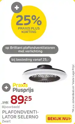 Praxis Plafondventilator Selerno aanbieding