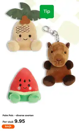 The Read Shop Palm Pals - diverse soorten aanbieding
