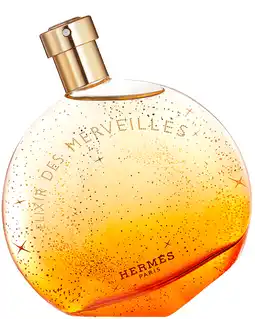 ICI Paris XL Hermès - Eau Des Merveilles Eau De Parfum - 100 ML aanbieding