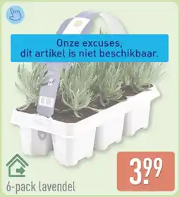 ALDI Lavendel aanbieding