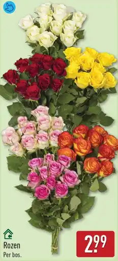 ALDI Rozen aanbieding