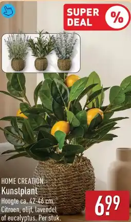ALDI Home creation kunstplant aanbieding
