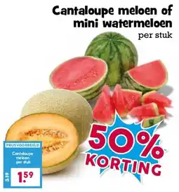 Boon`s Markt Cantaloupe meloen of mini watermeloen aanbieding