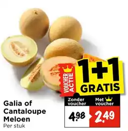 Vomar Voordeelmarkt Galia of Cantaloupe Meloen aanbieding