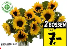 Vomar Voordeelmarkt Zonnebloemen aanbieding