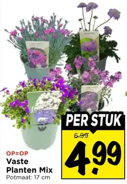 Vomar Voordeelmarkt Vaste Planten Mix aanbieding