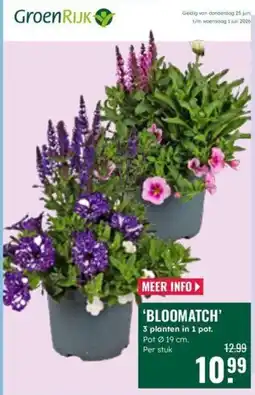 GroenRijk GroenRijk 'BLOOMATCH' aanbieding