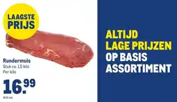 Makro Runderermuis aanbieding