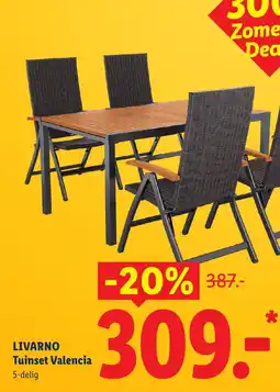 Lidl Livarno Tuinset Valencia aanbieding