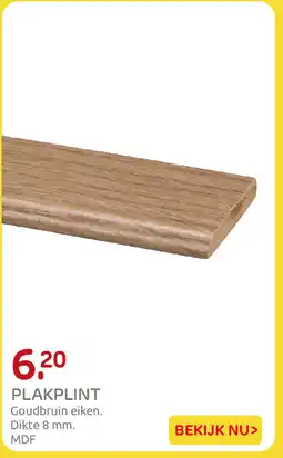 Praxis Plakplint aanbieding