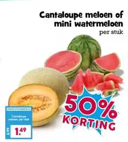 Boon`s Markt Cantaloupe meloen of mini watermeloen per stuk aanbieding