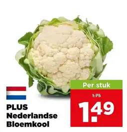PLUS Plus nederlandse bloemkool aanbieding