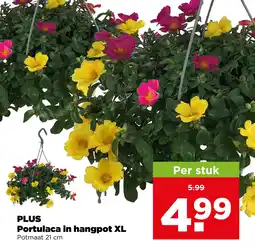 PLUS Plus portulaca in hangpot xl aanbieding
