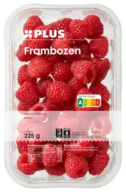PLUS PLUS Frambozen aanbieding