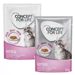 Zooplus Gemengd Voordeelpakket Concept for Life Gelei & Saus 24 x 85 gKattenvoer - Kitten in Saus en Gelei aanbieding