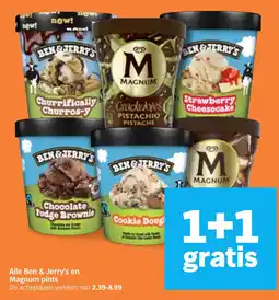 Albert Heijn Alle Ben & Jerry's en Magnum pints aanbieding