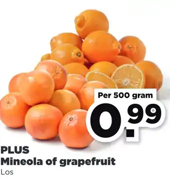 PLUS PLUS Mineola of grapefruit aanbieding