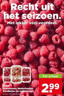 PLUS PLUS Frambozen, Nederlandse Aardbeien en rode bessen aanbieding