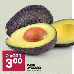 Ekoplaza hass avocado aanbieding