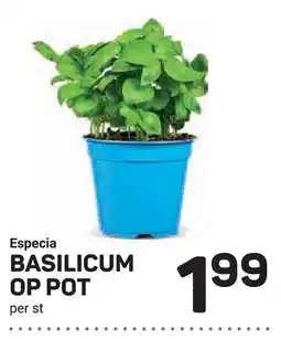 Ekoplaza BASILICUM OP POT aanbieding