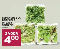 Ekoplaza gemengde sla, baby leaf of baby-spinazie aanbieding