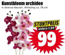 Dirk Kunstbloem orchidee aanbieding