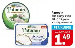 Hoogvliet Paturain aanbieding