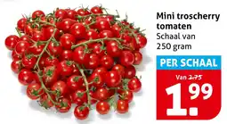 Hoogvliet Mini Troscherry Tomaten aanbieding
