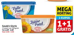 Hoogvliet Gouda's Glorie aanbieding