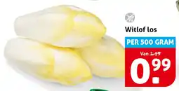 Hoogvliet Witlof Los aanbieding