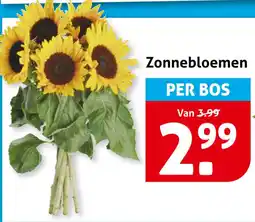 Hoogvliet Zonnebloemen aanbieding