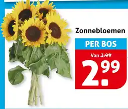 Hoogvliet Zonnebloemen aanbieding