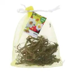 Van Cranenbroek Dahlia Mignon mix aanbieding