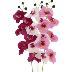 Dirk Kunstbloem orchidee 78cm aanbieding