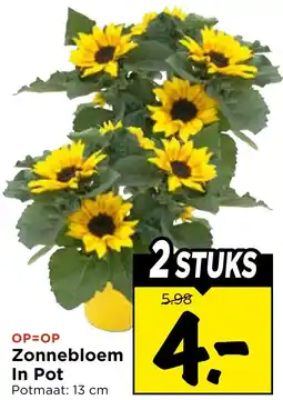 Vomar Voordeelmarkt Zonnebloem In Pot aanbieding