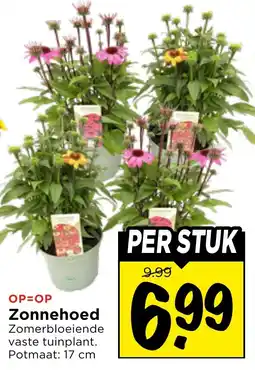 Vomar Voordeelmarkt Zonnehoed aanbieding