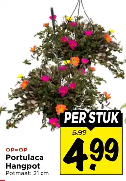 Vomar Voordeelmarkt Portulaca Hangpot aanbieding