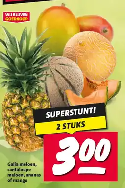 Nettorama Galia meloen, cantaloupe meloen, ananas of mango aanbieding