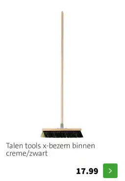 Intratuin Talen tools x-bezem binnen aanbieding