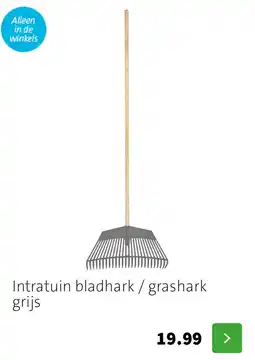 Intratuin Intratuin bladhark / grashark grijs aanbieding