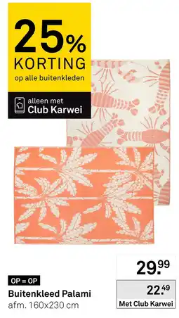 Karwei Buitenkled Palami aanbieding