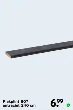GAMMA Plakplint 807 aanbieding